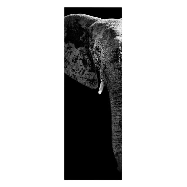 Canvas black and white African Elephant black and white