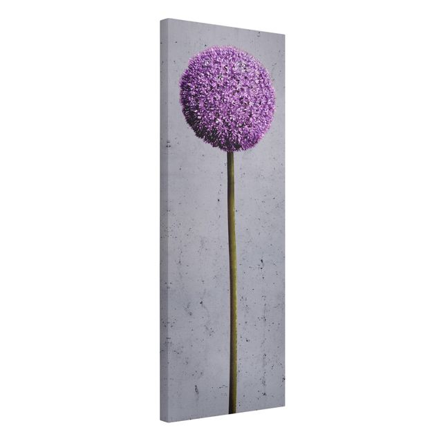 Contemporary art prints Allium Round-Headed Flower