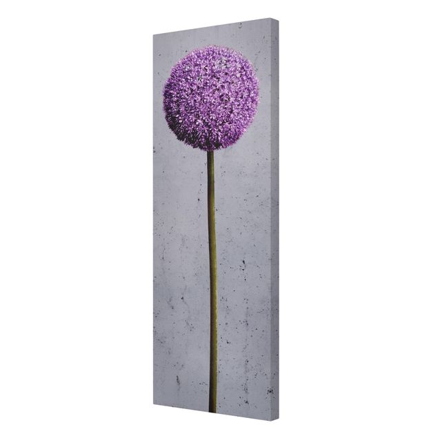 Canvas wall art Allium Round-Headed Flower