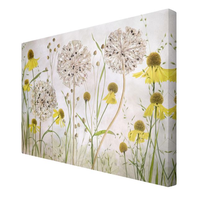 Floral canvas Allium And Helenium Illustration