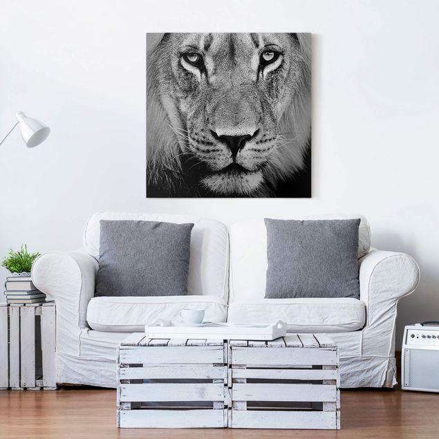 Canvas lion Old Lion
