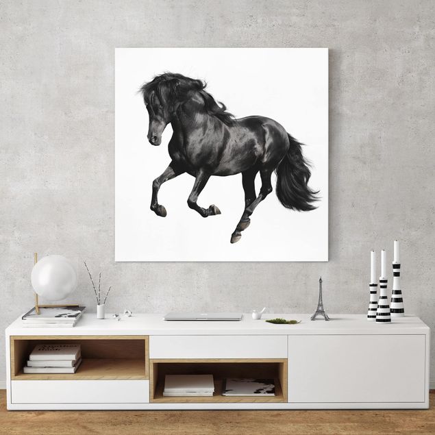 Horse canvas wall art Arabian Stallion