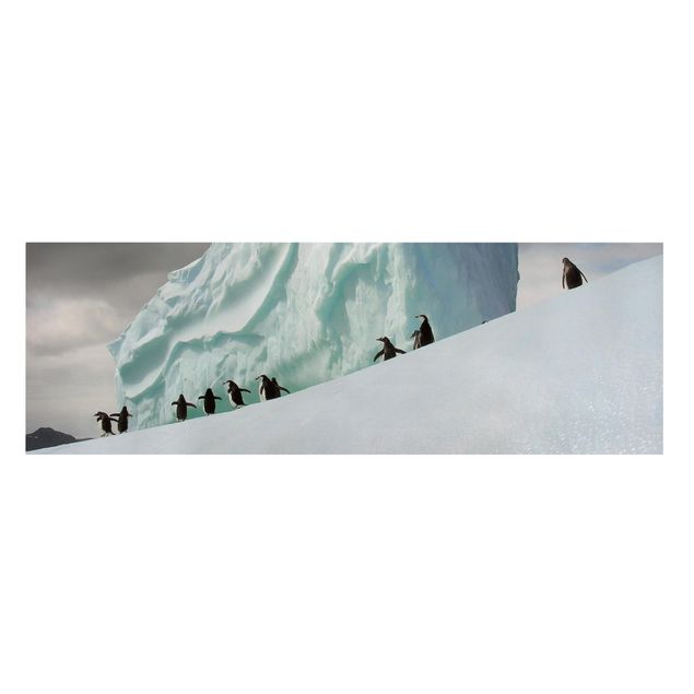 Prints animals Arctic Penguins