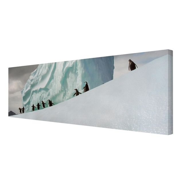 Modern art prints Arctic Penguins