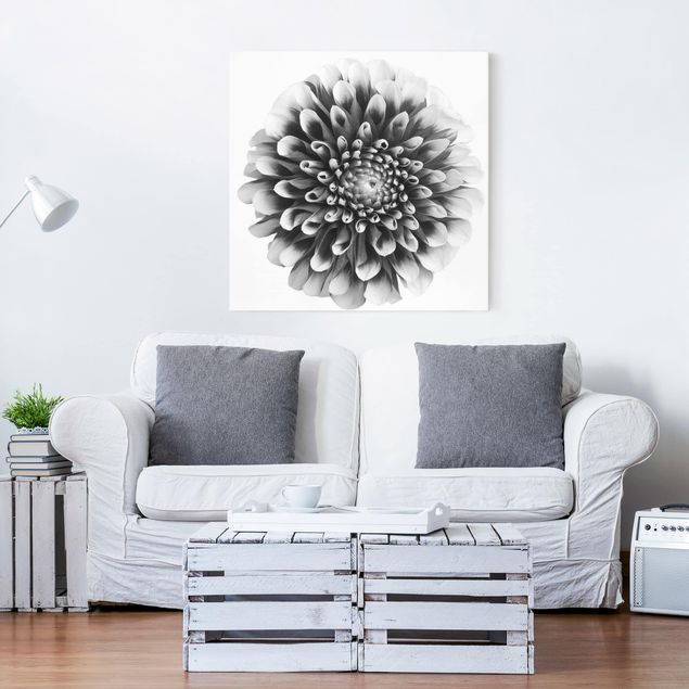 Canvas black and white Aster II