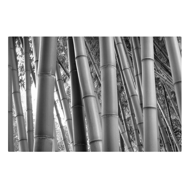 Canvas bamboo Bamboo