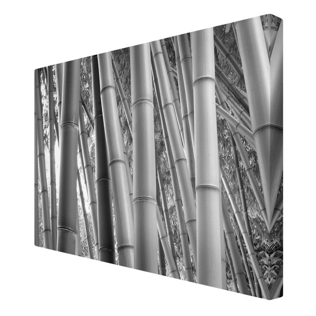 Floral canvas Bamboo