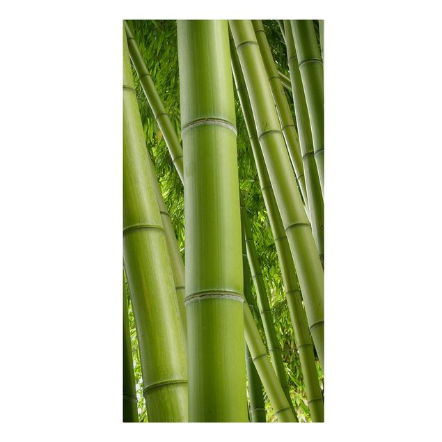 Canvas bamboo Bamboo Trees
