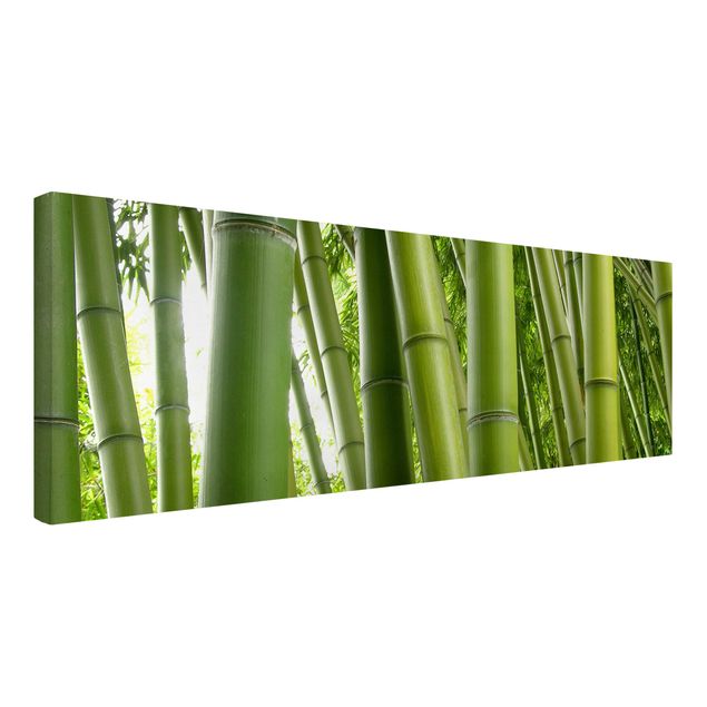 Bamboo canvas art Bamboo Trees