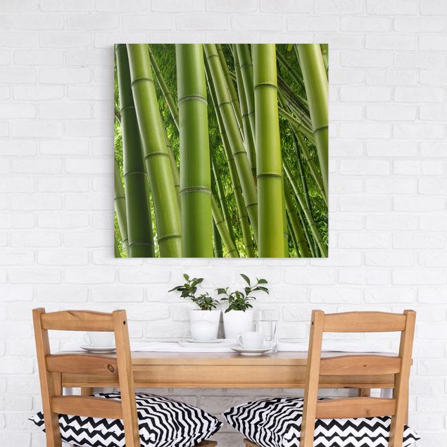 Landscape canvas prints Bamboo Trees