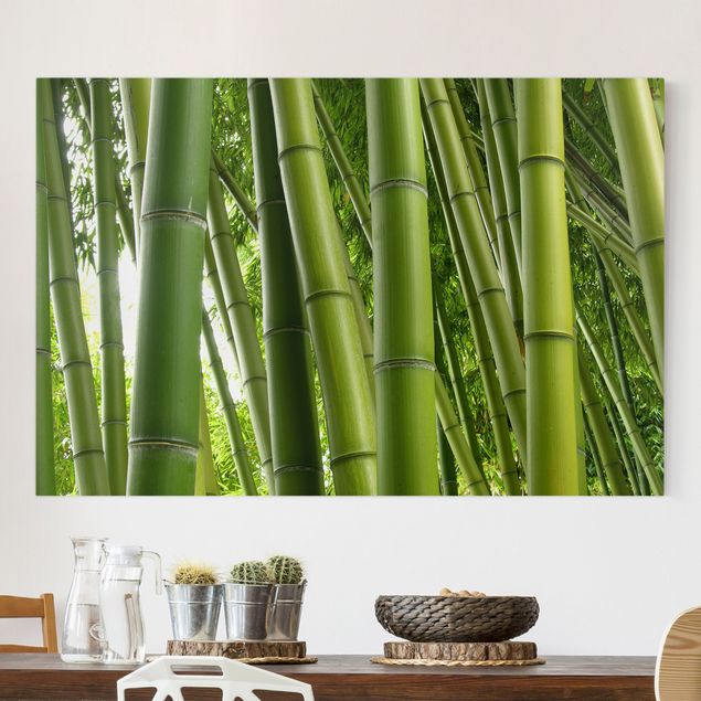 Kitchen Bamboo Trees