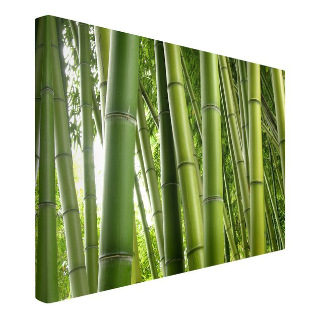 Bamboo canvas art Bamboo Trees