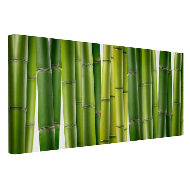 Bamboo canvas art Bamboo Plants