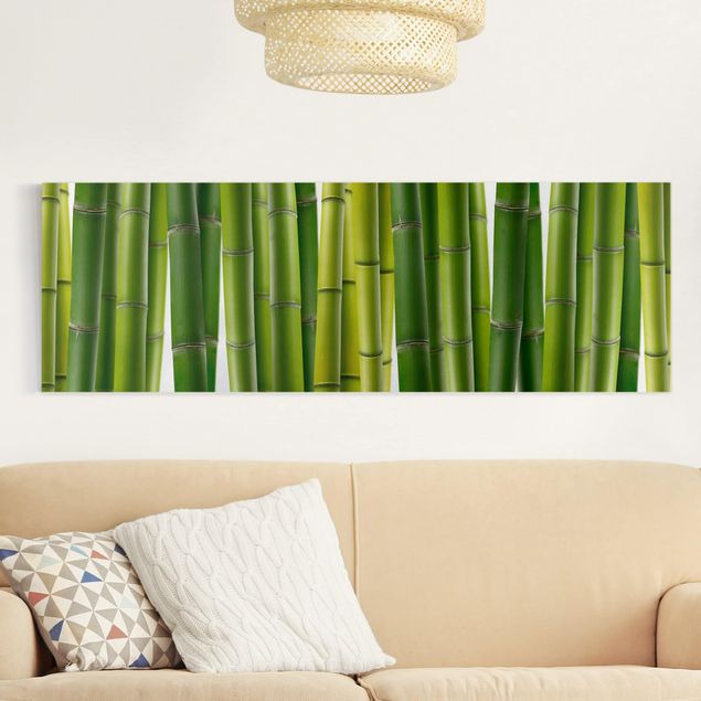 Landscape canvas prints Bamboo Plants