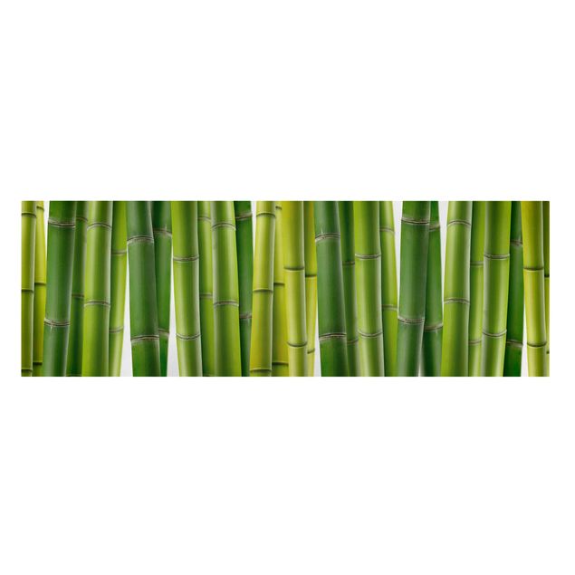 Canvas bamboo Bamboo Plants
