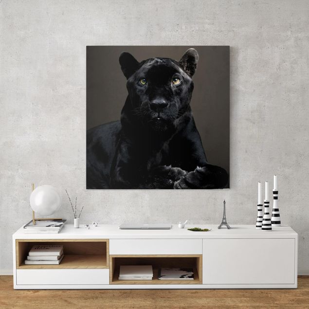 Cat print Black Puma