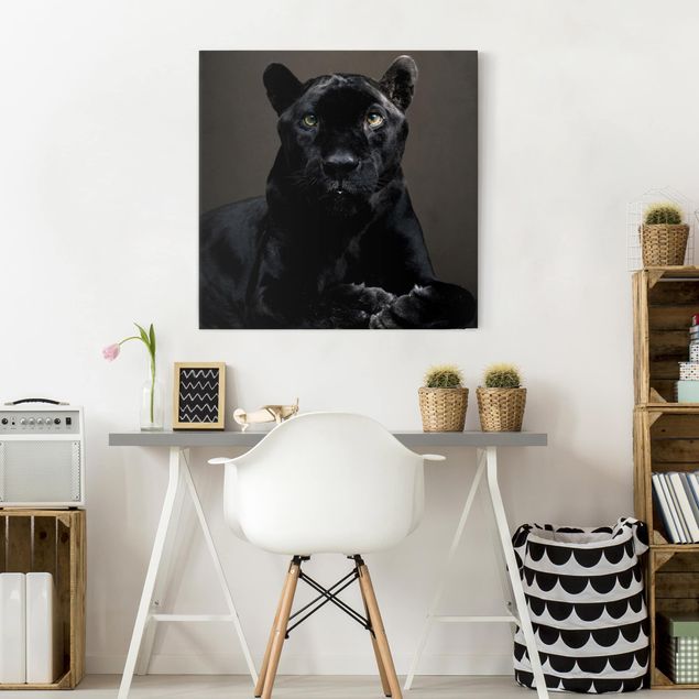 Cat canvas Black Puma