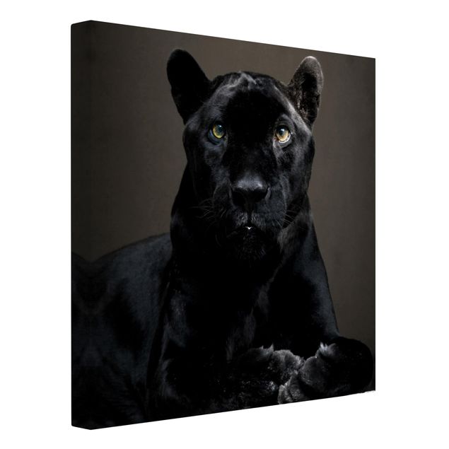 Prints animals Black Puma