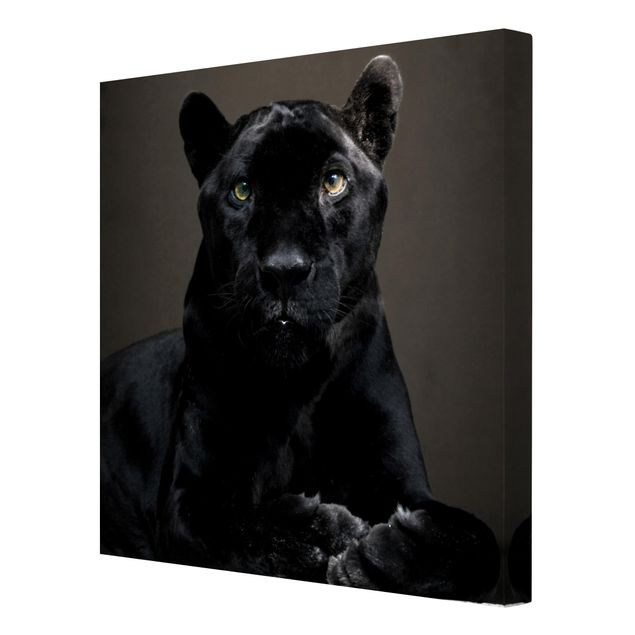 Animal canvas Black Puma