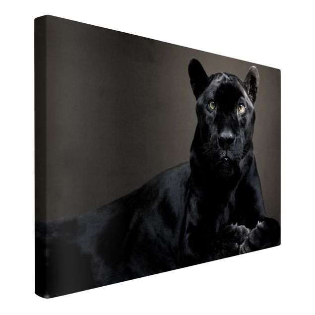 Prints animals Black Puma