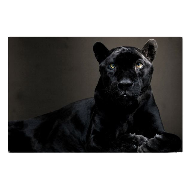 Modern art prints Black Puma