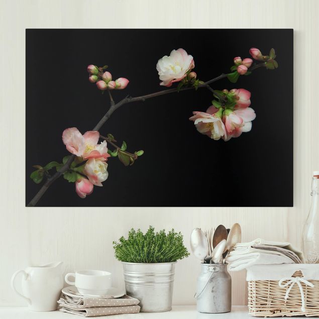 Kitchen Blossoming Branch Apple Tree