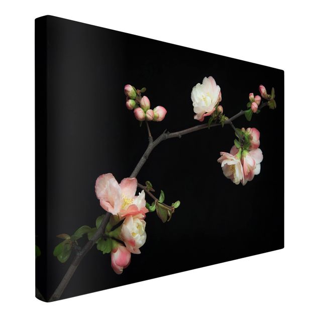 Modern art prints Blossoming Branch Apple Tree