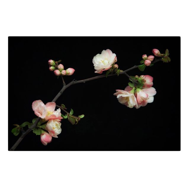 Prints Blossoming Branch Apple Tree