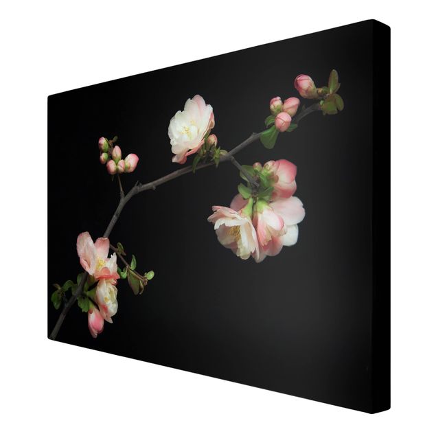 Canvas prints Blossoming Branch Apple Tree