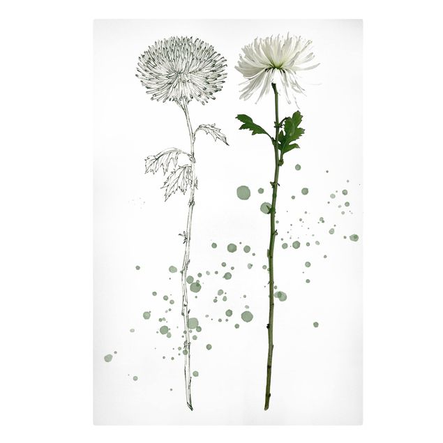 Floral picture Botanical Watercolour - Dandelion