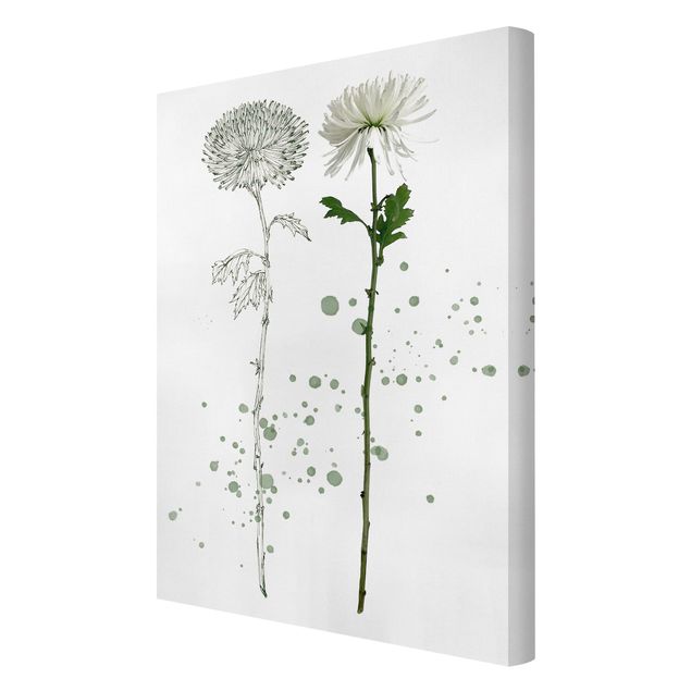 Prints modern Botanical Watercolour - Dandelion