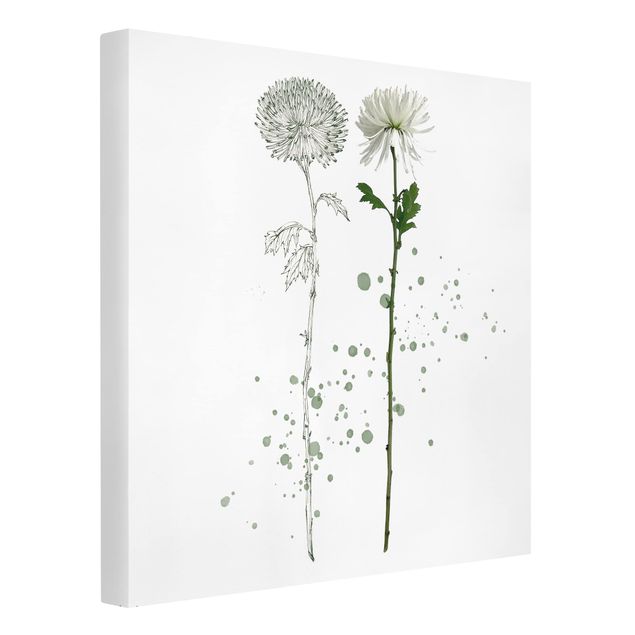 Floral canvas Botanical Watercolour - Dandelion