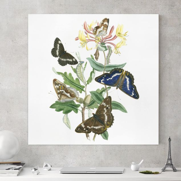Butterfly print British Butterflies IV