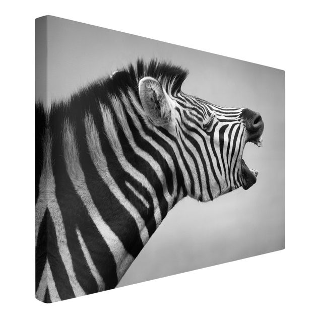 Canvas black and white Roaring Zebra ll