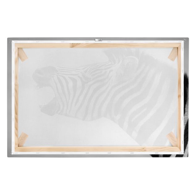 Black and white art Roaring Zebra ll