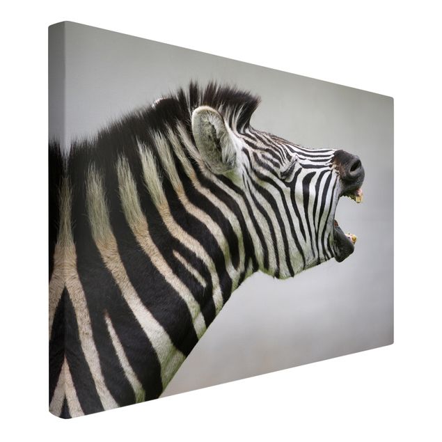 Animal canvas Roaring Zebra