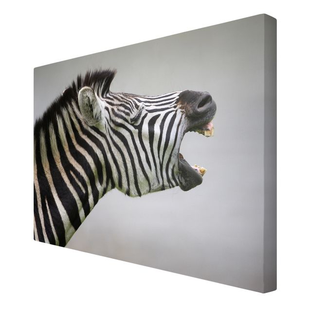Animal canvas art Roaring Zebra
