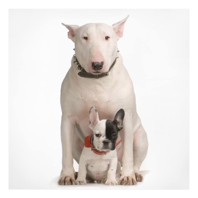 Modern art prints Bull Terrier and Friend