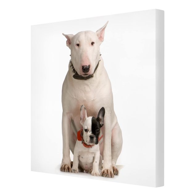 Animal canvas Bull Terrier and Friend