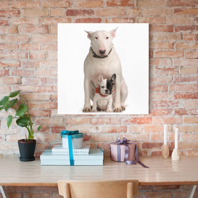 Dog canvas Bull Terrier and Friend