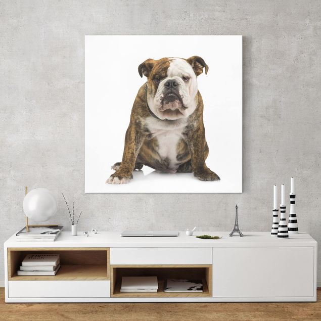 Dog canvas art Bulldog