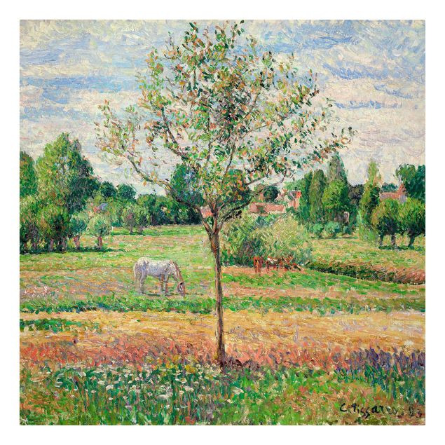Art styles Camille Pissarro - Meadow with Grey Horse, Eragny