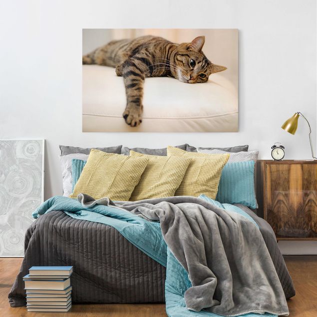 Dog canvas art Cat Chill Out