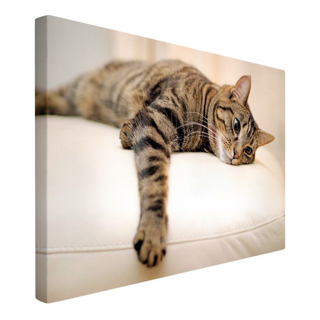 Tiger canvas art Cat Chill Out