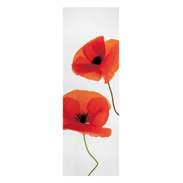 Prints floral Charming Poppies