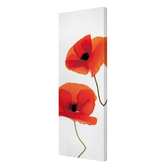 Floral prints Charming Poppies