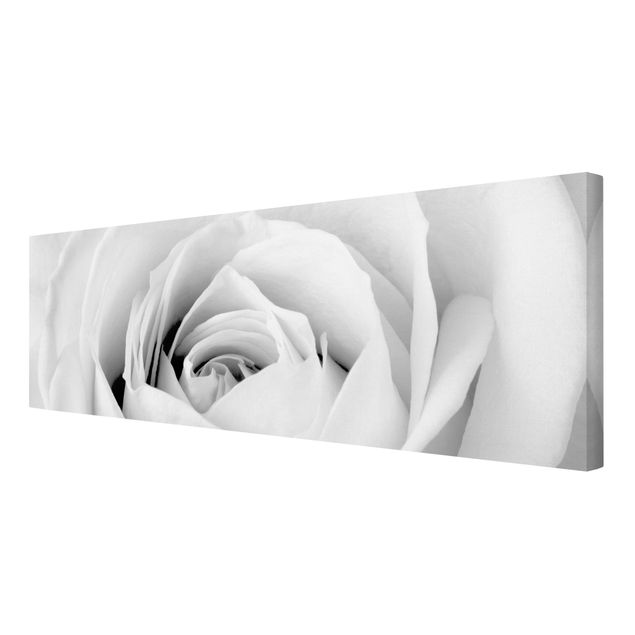 Prints black and white Close Up Rose