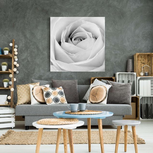 Wall art black and white Close Up Rose