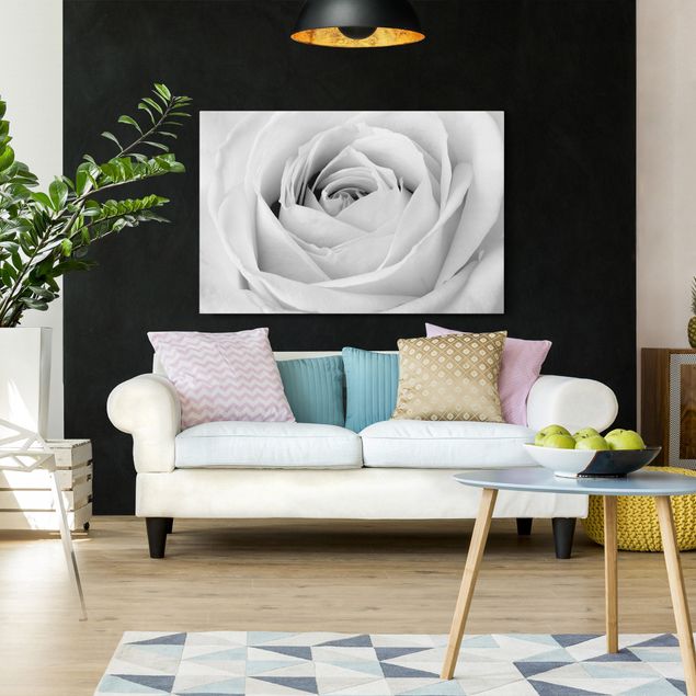 Wall art black and white Close Up Rose