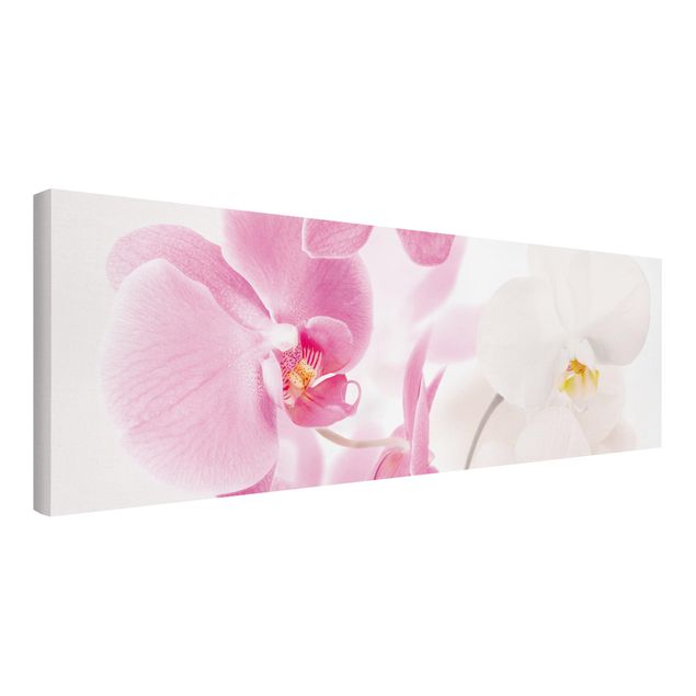 Orchid pictures on canvas Delicate Orchids